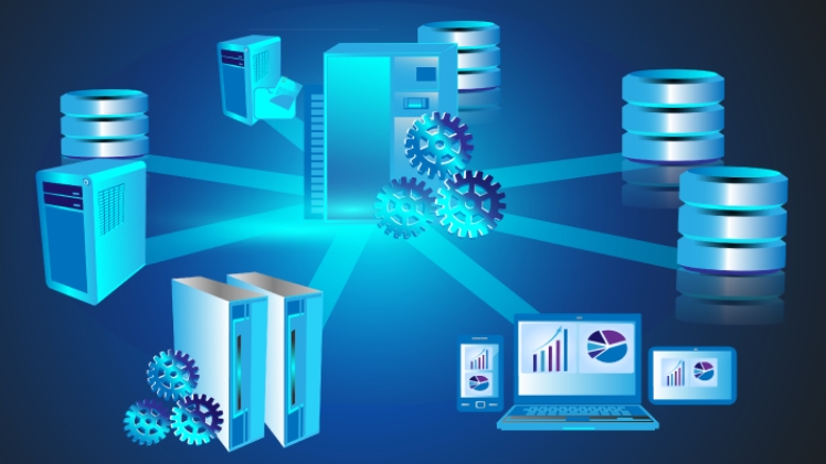 Database Management System and Software: Everything You Need to Know