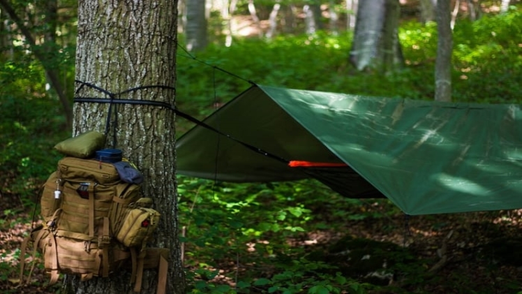 3 Basic Gear That Every Person Needs to Survive the Wilderness