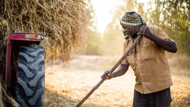 Challenges Farmers Face Throughout the Year