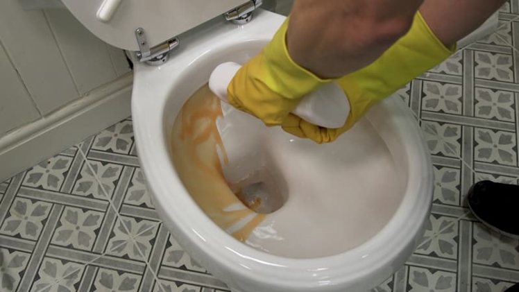 How To Remove Limescale From Toilet?