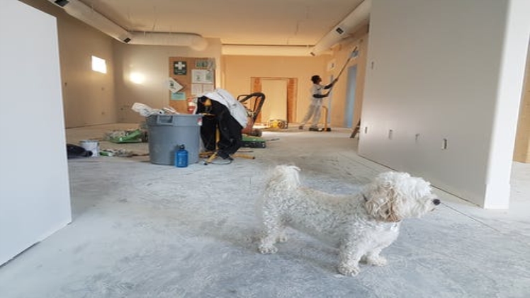 Best Tips to consider when Remodeling a House