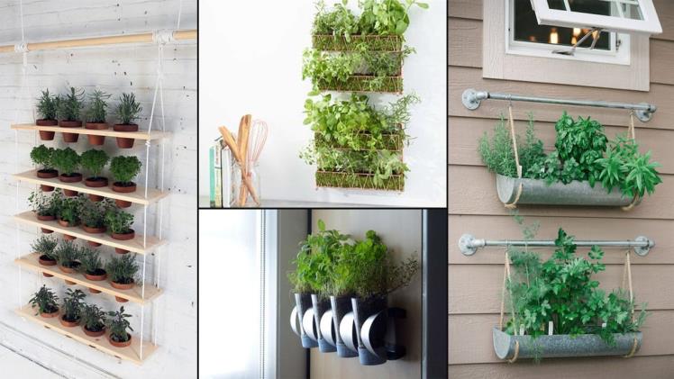 Save the planet: 5 herbs to grow that help the planet go green