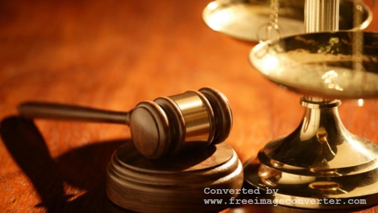 An Overview of the American Legal System