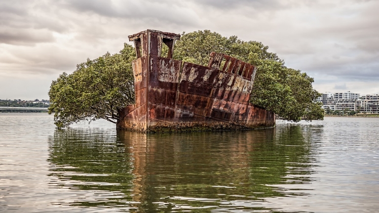 Unique and Unusual Things to Do in Sydney