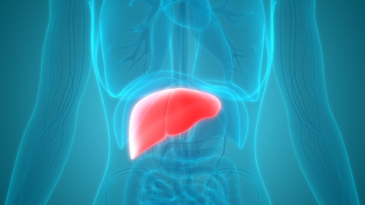 What is Hepatitis?
