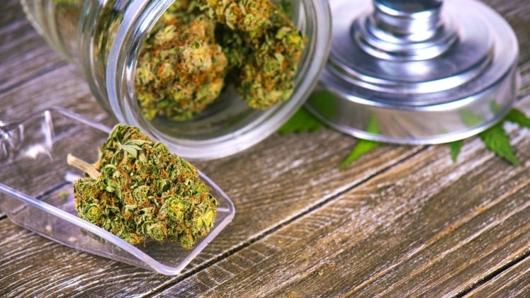 TIPS TO SET UP A MARIJUANA SHOP