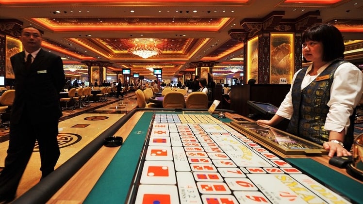 Are you searching for the best casino site in Canada? You are on the right path.