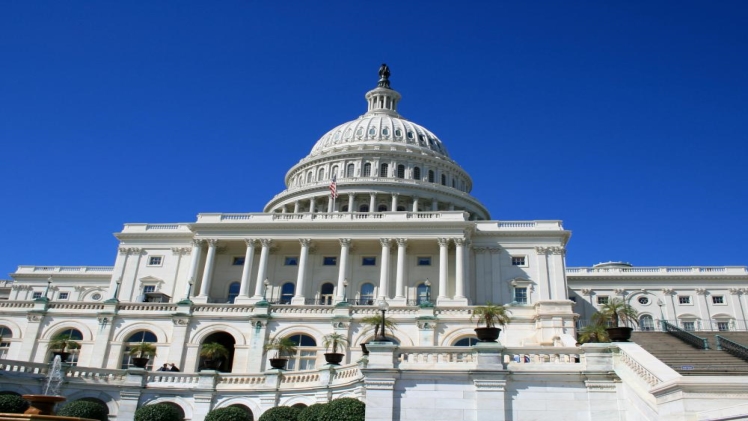 The Dual System of Laws in the US