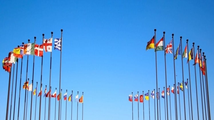 How to find a specialist translation agency: Everything you need to know.