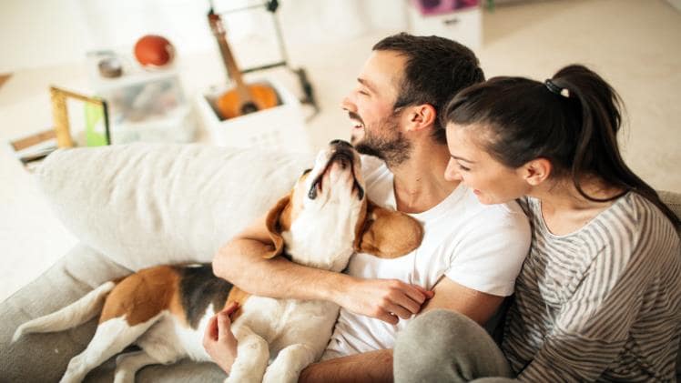 The Benefits of Renting a Pet-Friendly Apartment