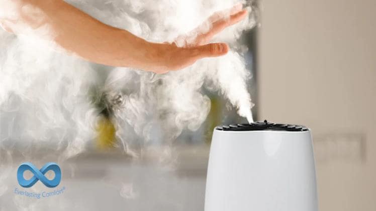 Amazon Humidifier: How to Choose the Right One for You