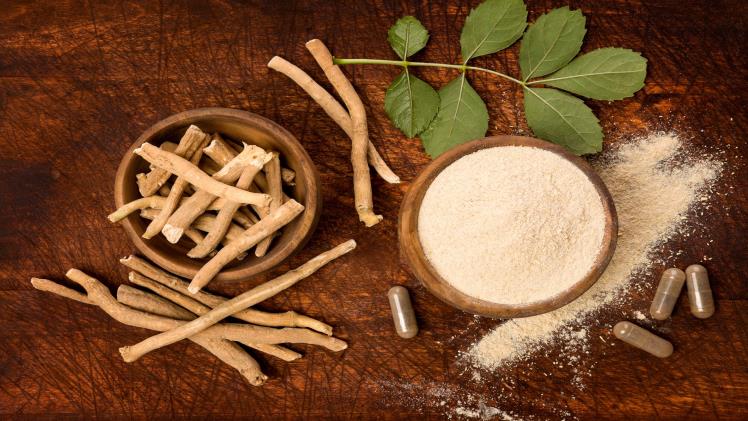 Ashwagandha Review – Is it Worth the Hype?
