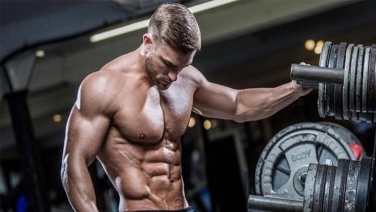 Best Cycle and Dosage of Different SARMS