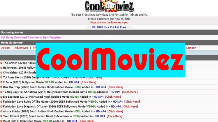 MyCoolMovies Review