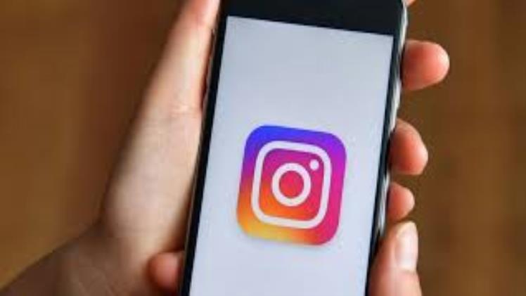 Picuki Download Review