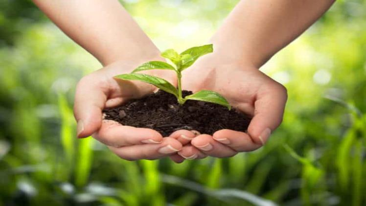 Ways to Reduce Your Environmental Impact