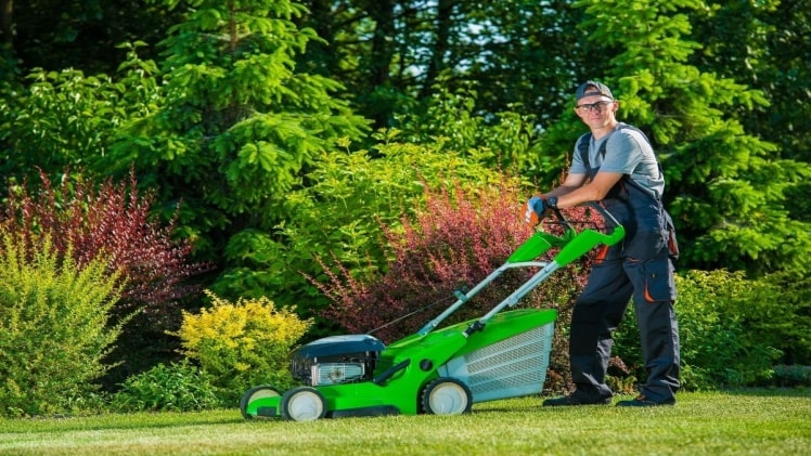 Factors to Consider When Hiring Lawn Service Companies